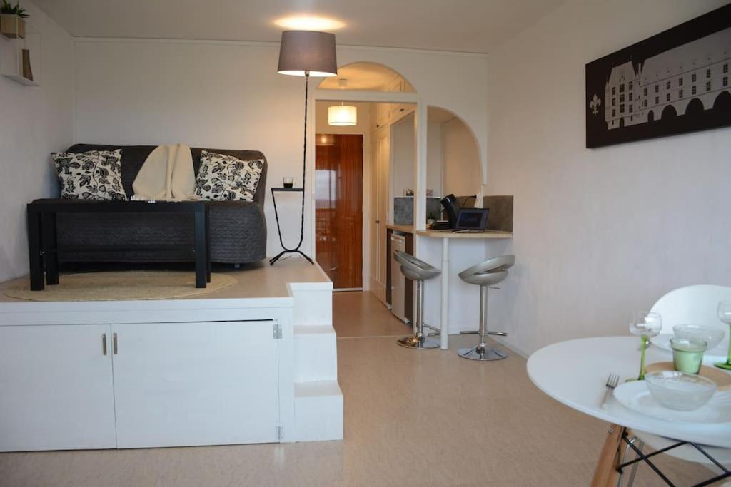 Appartement Avec Vue Montrichard Exterior photo